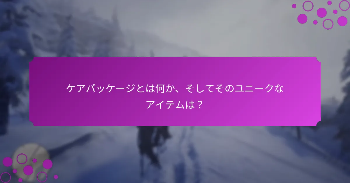 どのケアパッケージプロバイダーが最良のオプションを提供していますか？